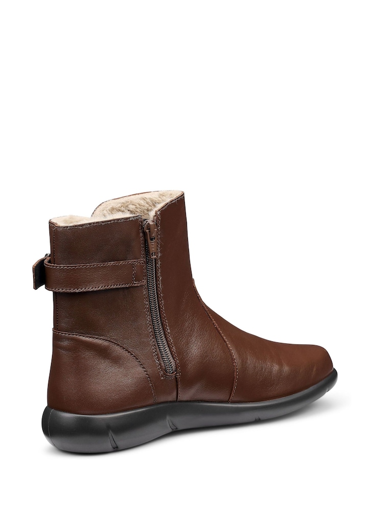Braun - Hotter Rustle Zip/Buckle Ankle Boots - Bild 4 von 4 Braun - Hotter Rustle Zip/Buckle Ankle Boots - Bild 4 von 4