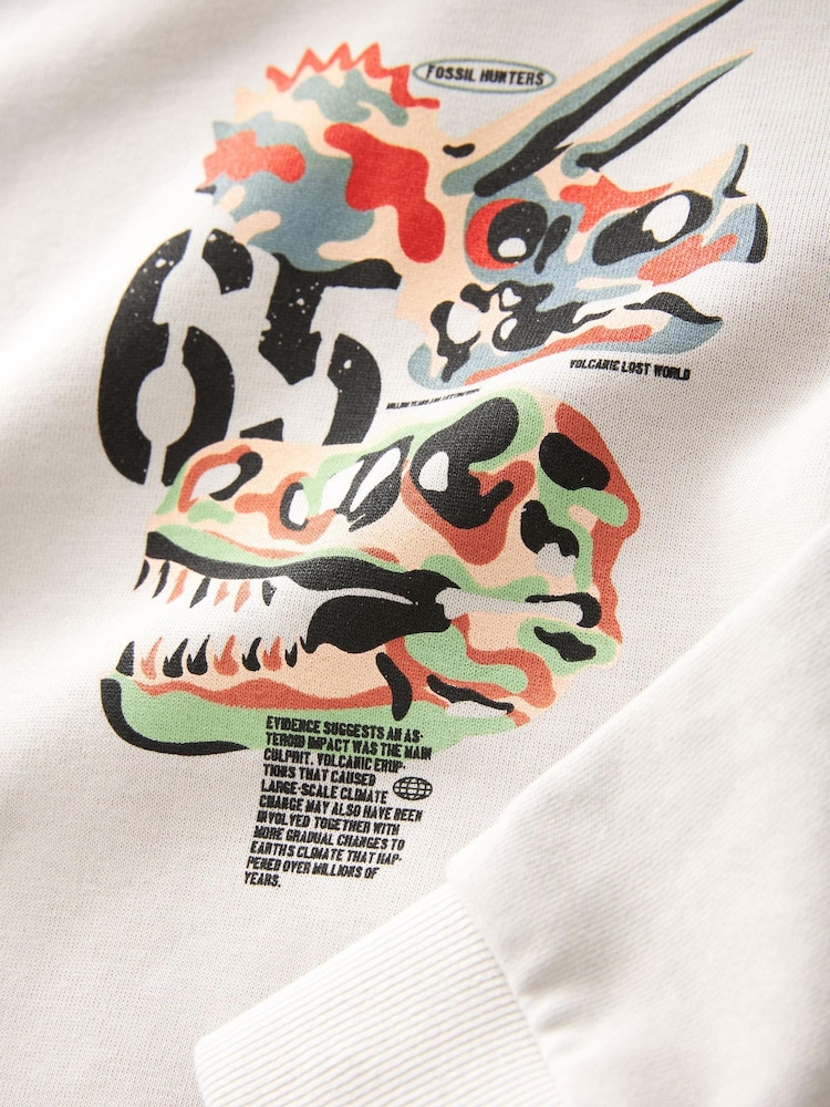 Grey Garment Dye Dinosaur Print Hoodie (3-16yrs) - Image 3 of 4