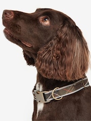 Barbour® Green Reflective Tartan Dog Collar - Image 1 of 6