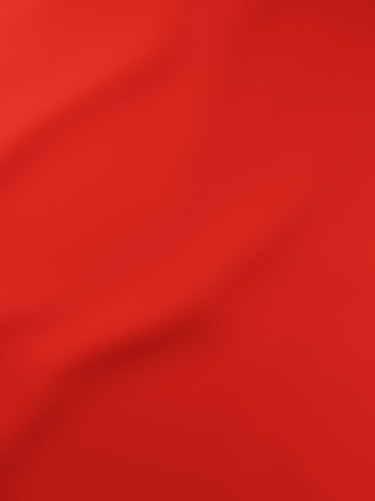 Red Haig Made To Measure Blackout Roller Blind - Image 2 of 4