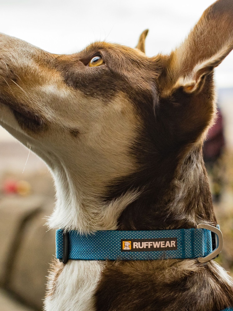 Collar de perro ligero Hi & Light™ de Ruffwear - Imagen 1 de 4