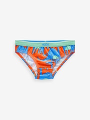 Bright Dinosaur Cotton Briefs 7 Pack (1.5-10yrs) - Image 7 of 10