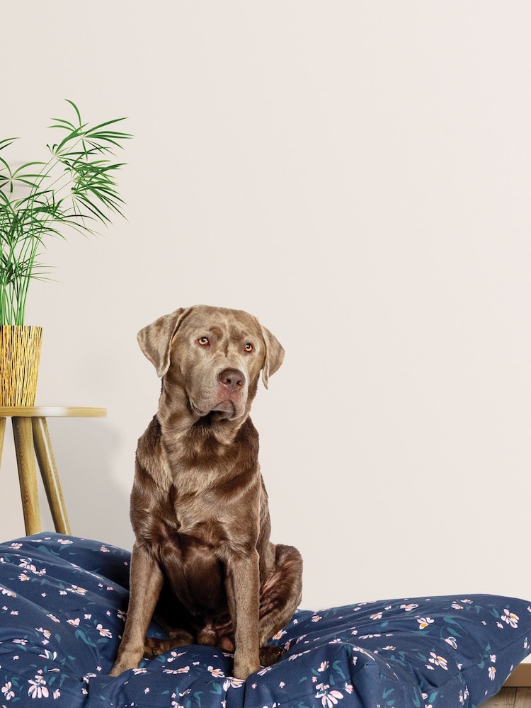 FatFace Blue Brush Floral Deep Duvet Dog Bed - Image 1 of 3