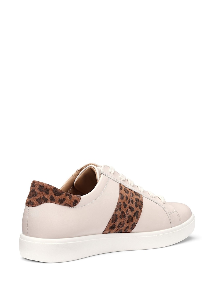 Hotter Animal Standard Fit Wide Fit Switched Lace-Up Cupsole Trainers - Image 4 of 4 Hotter Animal Standard Fit Wide Fit Switched Lace-Up Cupsole Trainers - Image 4 of 4