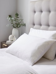 Fine Bedding Company Dual Support Memory Foam 100% Cotton Pillow - Image 1 of 3