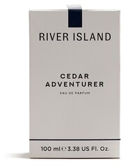 River Island Mens Cedar Adventurer 100ml - Image 3 of 3