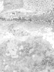 Silver Sequin Batwing Midi Dress - Image 9 of 9