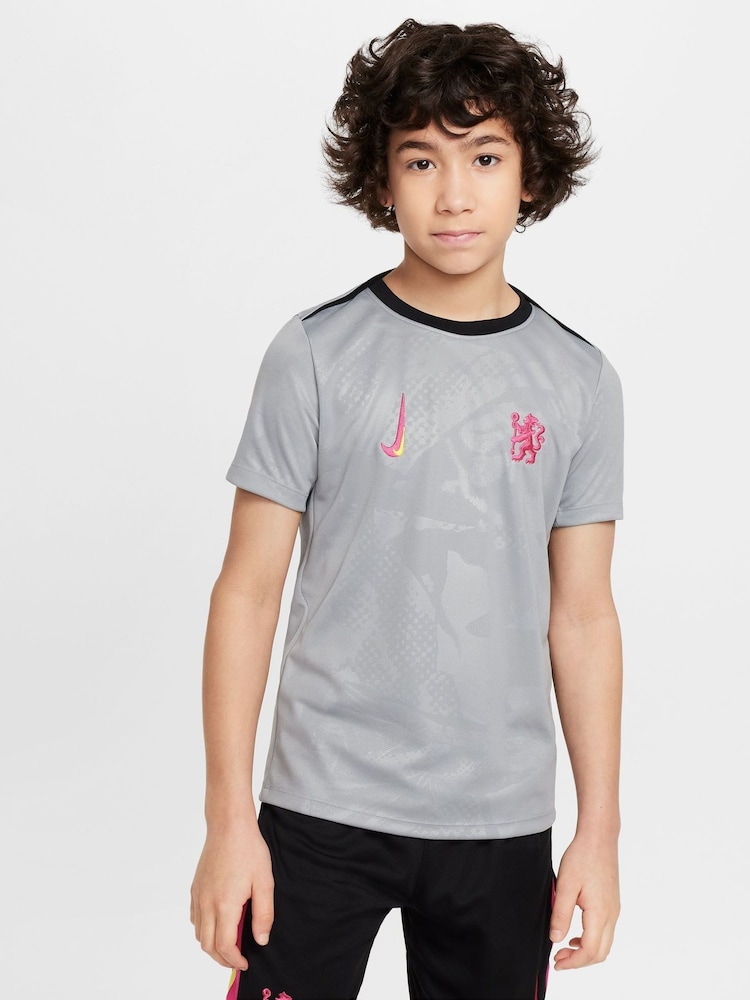 Nike Grey Chelsea FC Academy Pro T-Shirt - Image 1 of 5