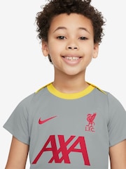 Nike Grey Liverpool FC Academy Pro Training T-Shirt - Image 3 of 3