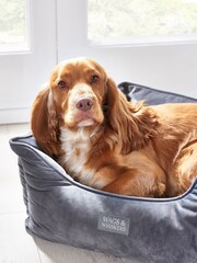 Charcoal Grey Charcoal Velvet Pet Bed - Image 1 of 4