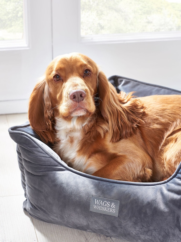 Charcoal Grey Charcoal Velvet Pet Bed - Image 1 of 4