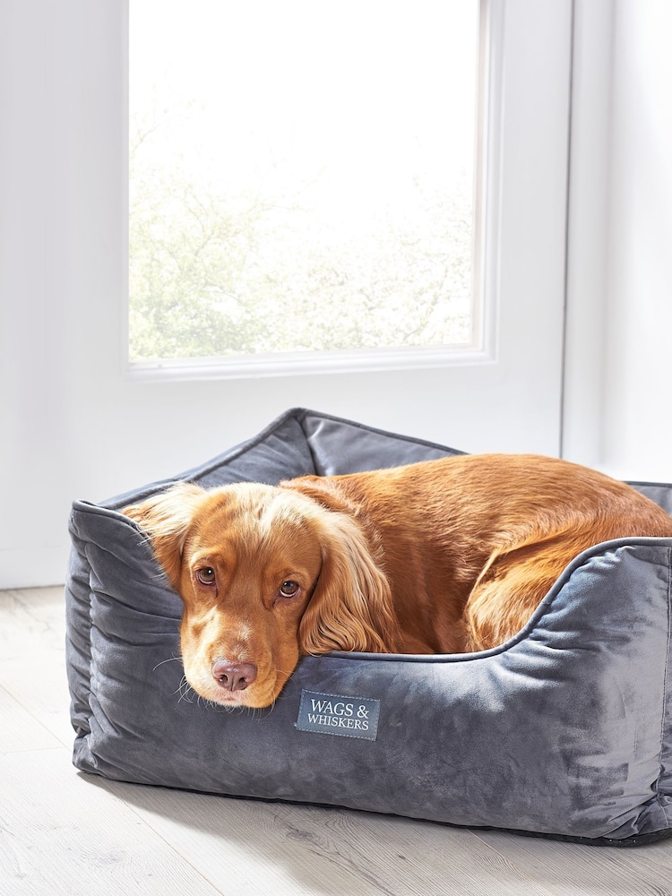 Charcoal Grey Charcoal Velvet Pet Bed - Image 2 of 4