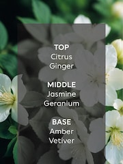 Collection Luxe New York 170ml Fragranced Reed Diffuser - Image 4 of 4