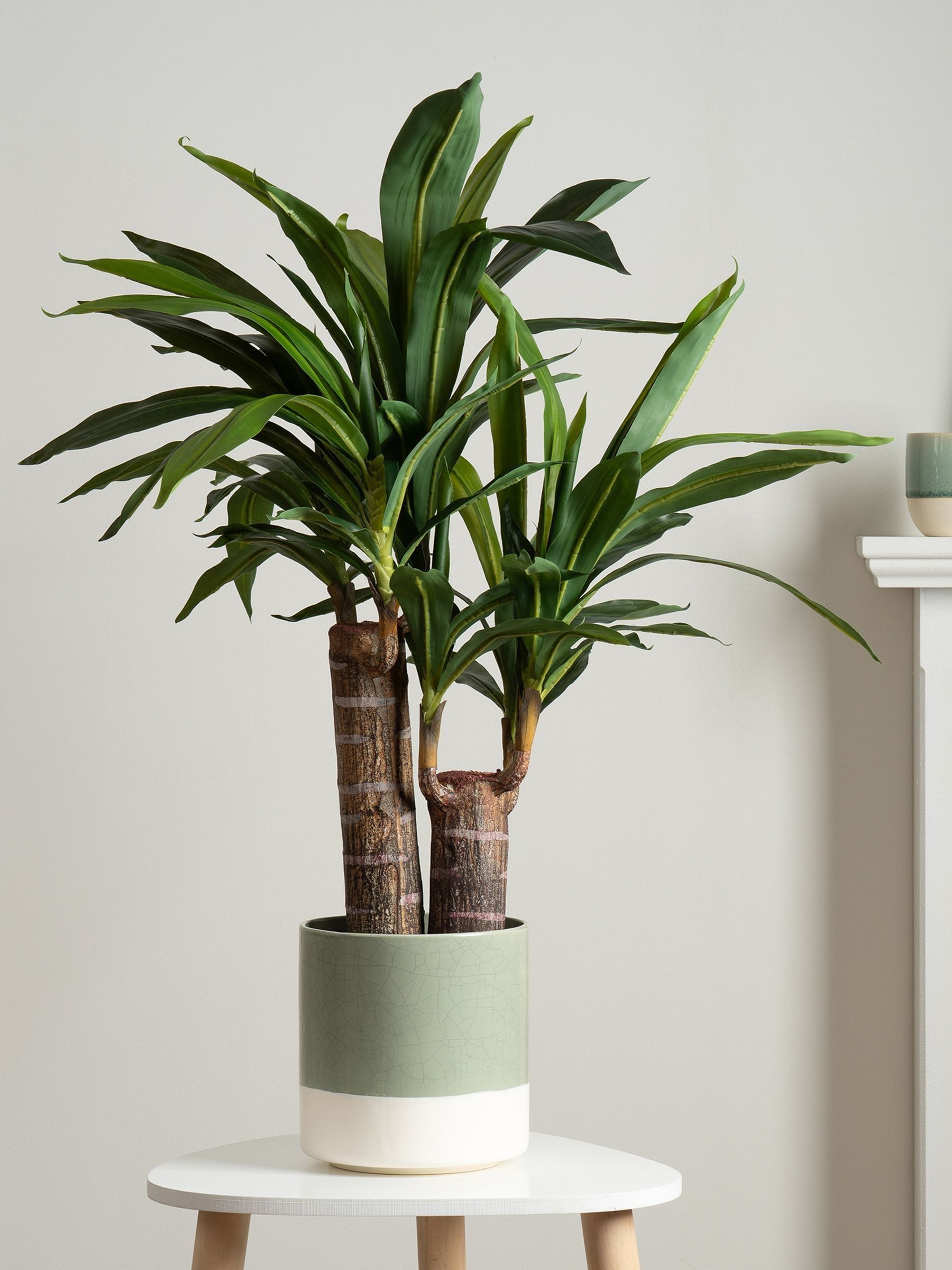 The Very Collection Faux Double Stem Yucca Plant In Plastic Pot - Image 2