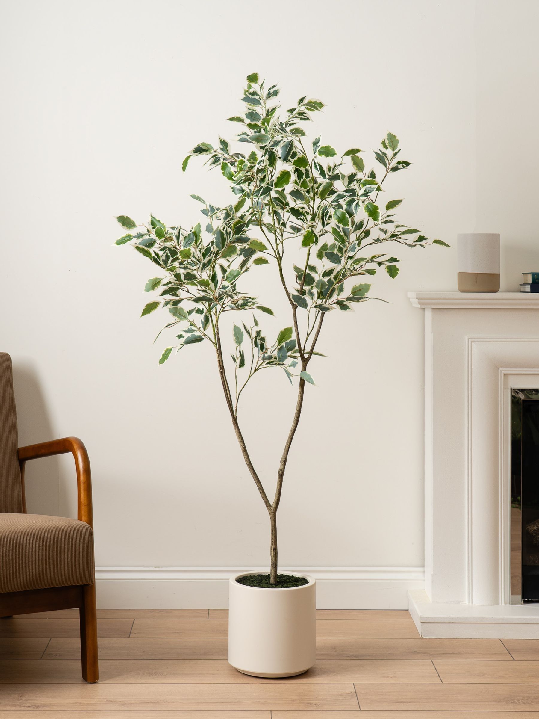 Scottish Everlastings 150Cm Real Touch Ficus Tree Kd - Image 3