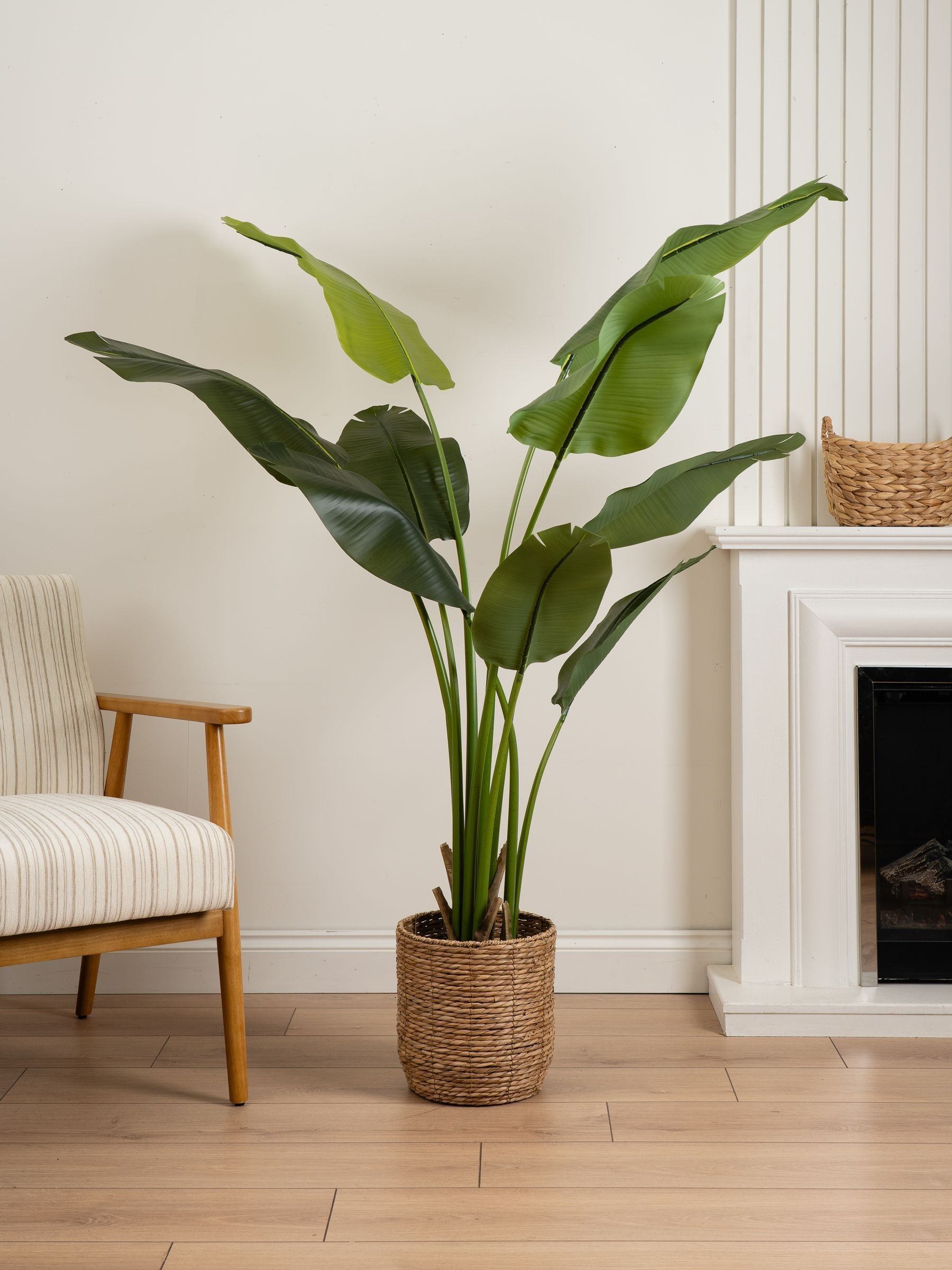 Scottish Everlastings Green 180Cm Real Touch Banana Tree - Image 3