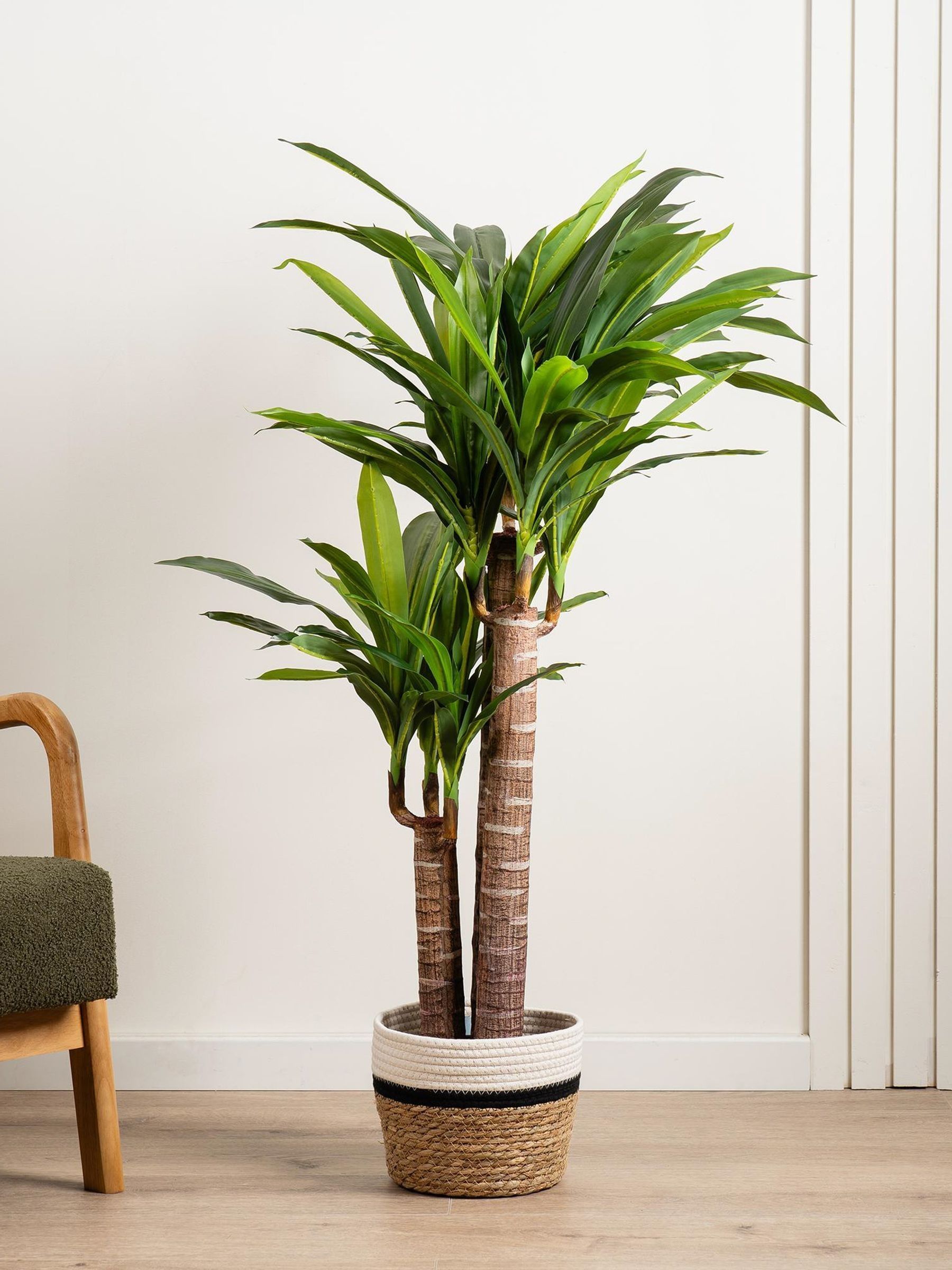 The Very Collection Faux Triple Stem Yucca Plant In Plastic Pot - Image 3