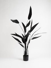 Scottish Everlastings Ltd Black Bird of Paradise Tree - Image 2 of 3