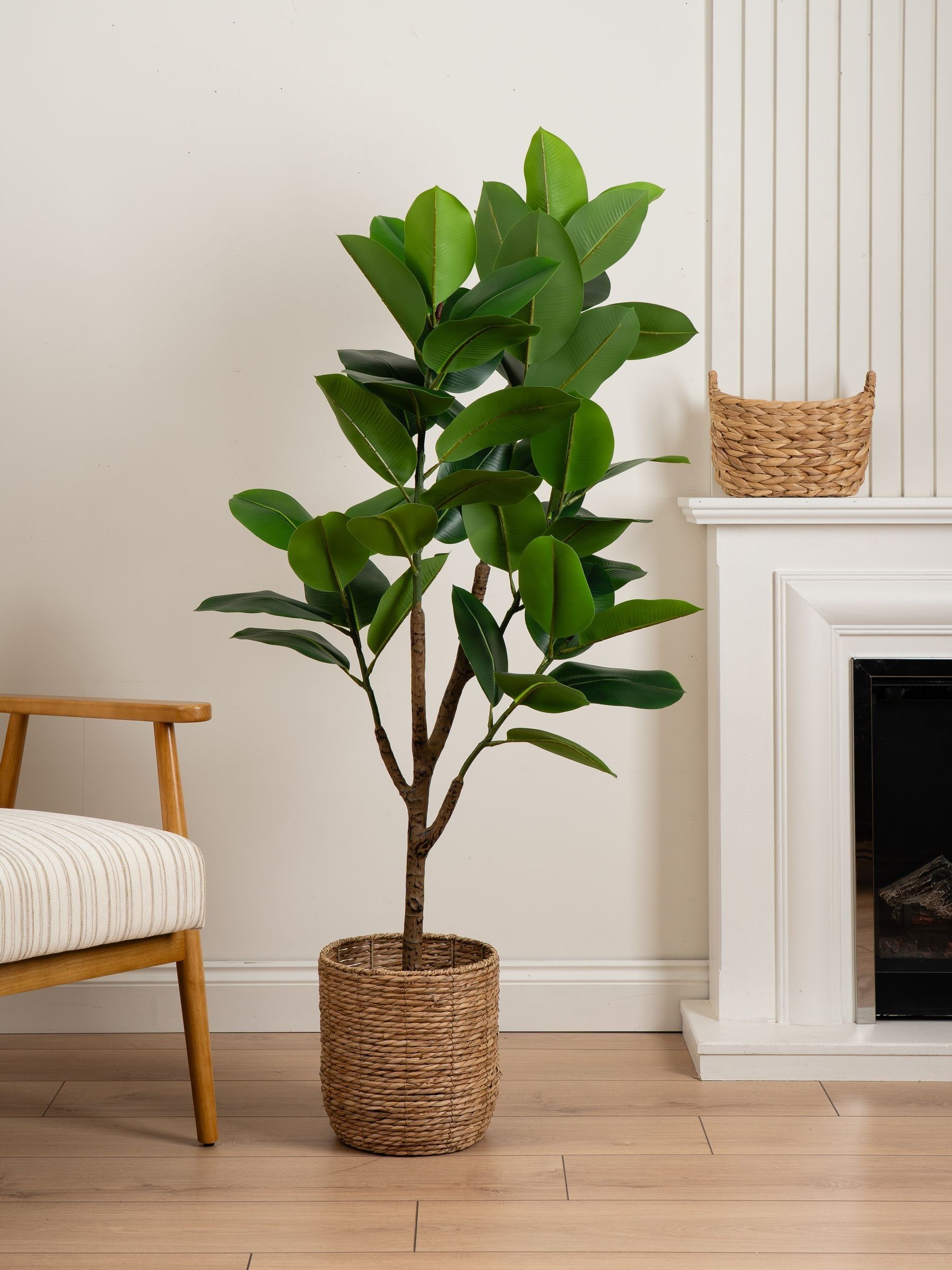 Scottish Everlastings Ltd Unisex Green Real Touch Rubber Tree