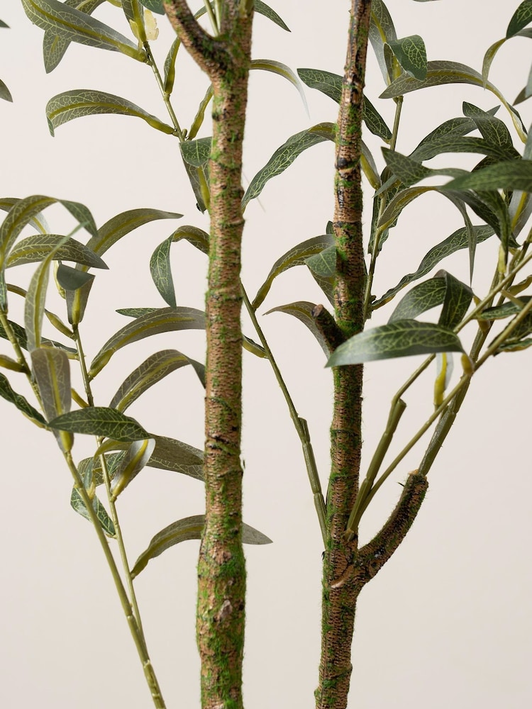 Scottish Everlastings Ltd Green Slim Silhouette Olive Tree - Image 2 of 2