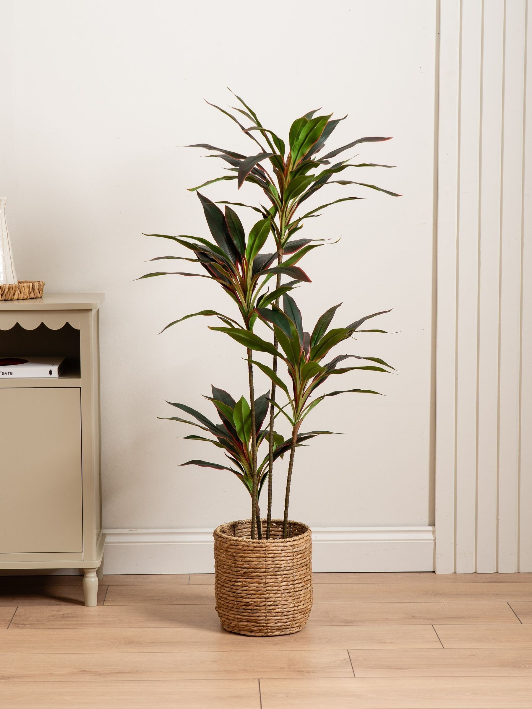 Scottish Everlastings Red 120Cm Real Touch Dracaena - Image 2