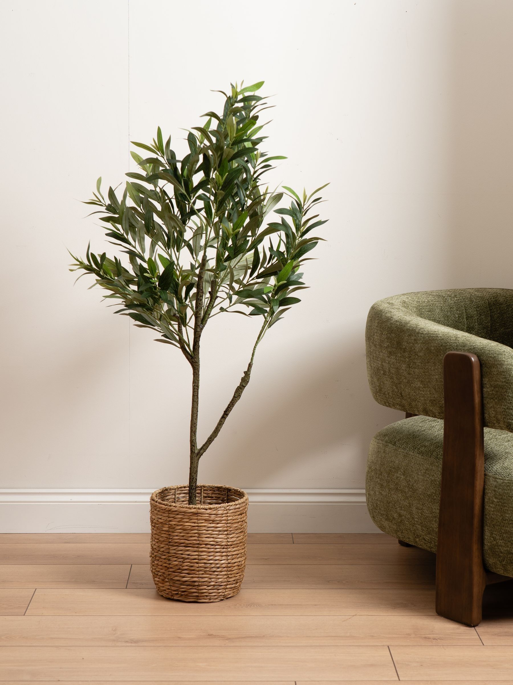 Scottish Everlastings Green 120Cm Olive Tree - Image 4