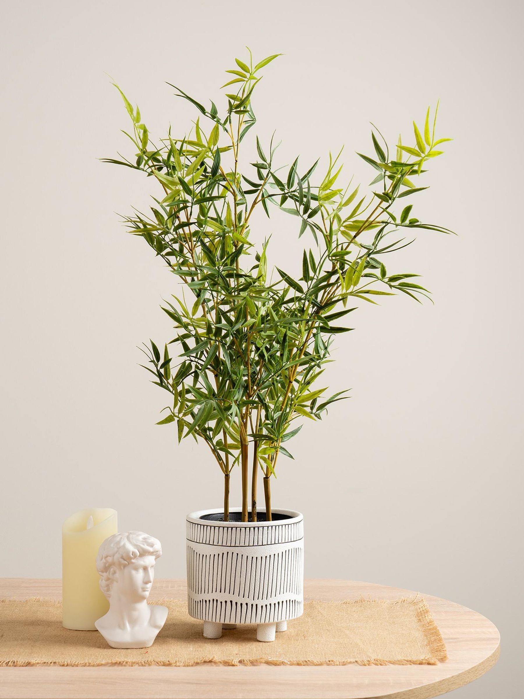 Scottish Everlastings Ltd Unisex Green Mini-Leaf Tree