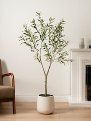 Scottish Everlastings Ltd Green KD Olive Tree in Pot - Image 1 of 3