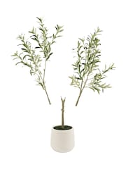Scottish Everlastings Ltd Green KD Olive Tree in Pot - Image 3 of 3