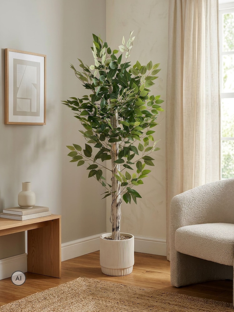 Scottish Everlastings Ltd Green Ficus Tree in Cement Pot - Image 1 of 3 Scottish Everlastings Ltd Green Ficus Tree in Cement Pot - Image 1 of 3