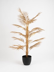 Scottish Everlastings Ltd Gold Palm Tree - Image 2 of 3