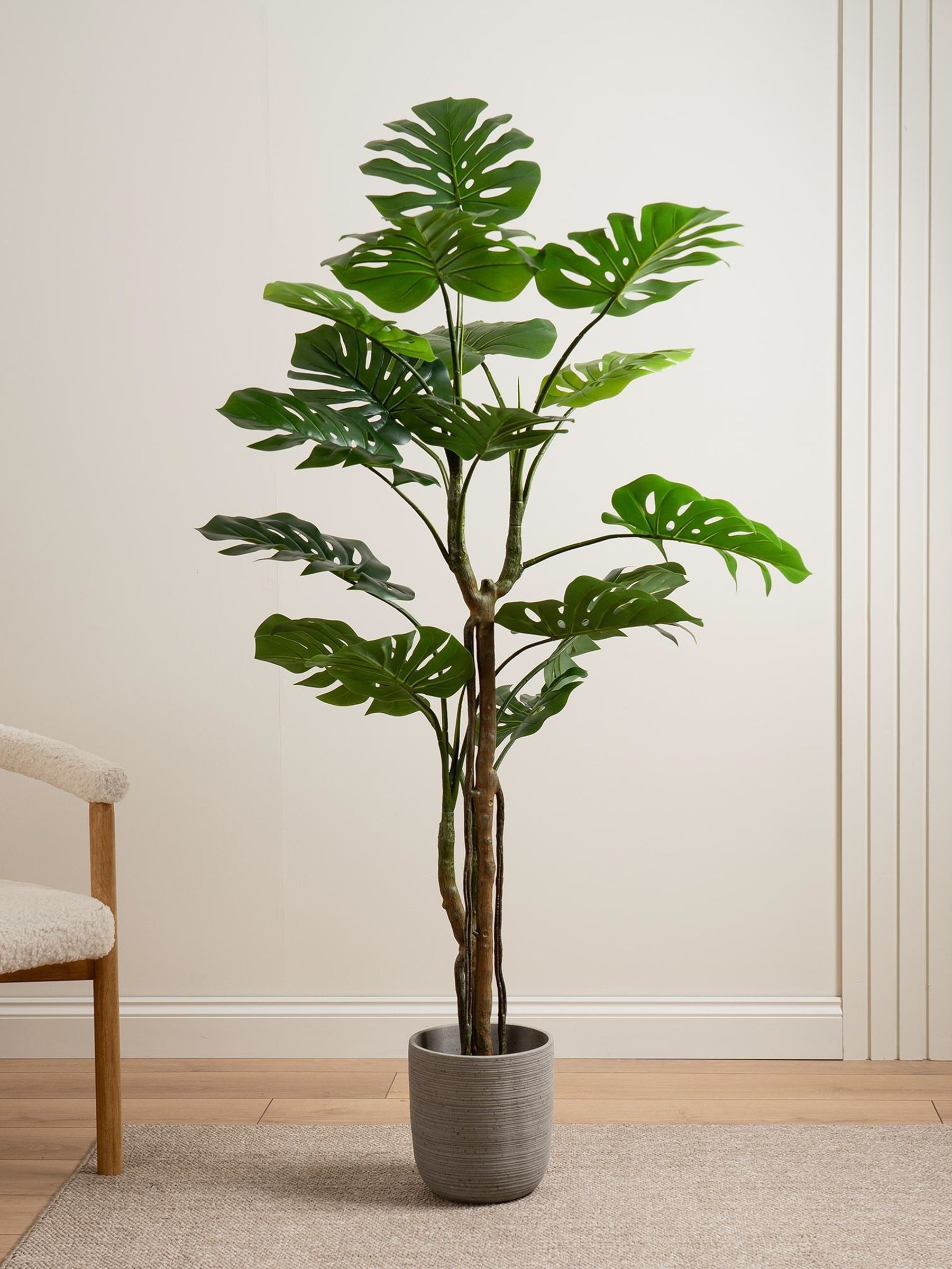 Scottish Everlastings Ltd Unisex Green Real Touch Monstera Tree