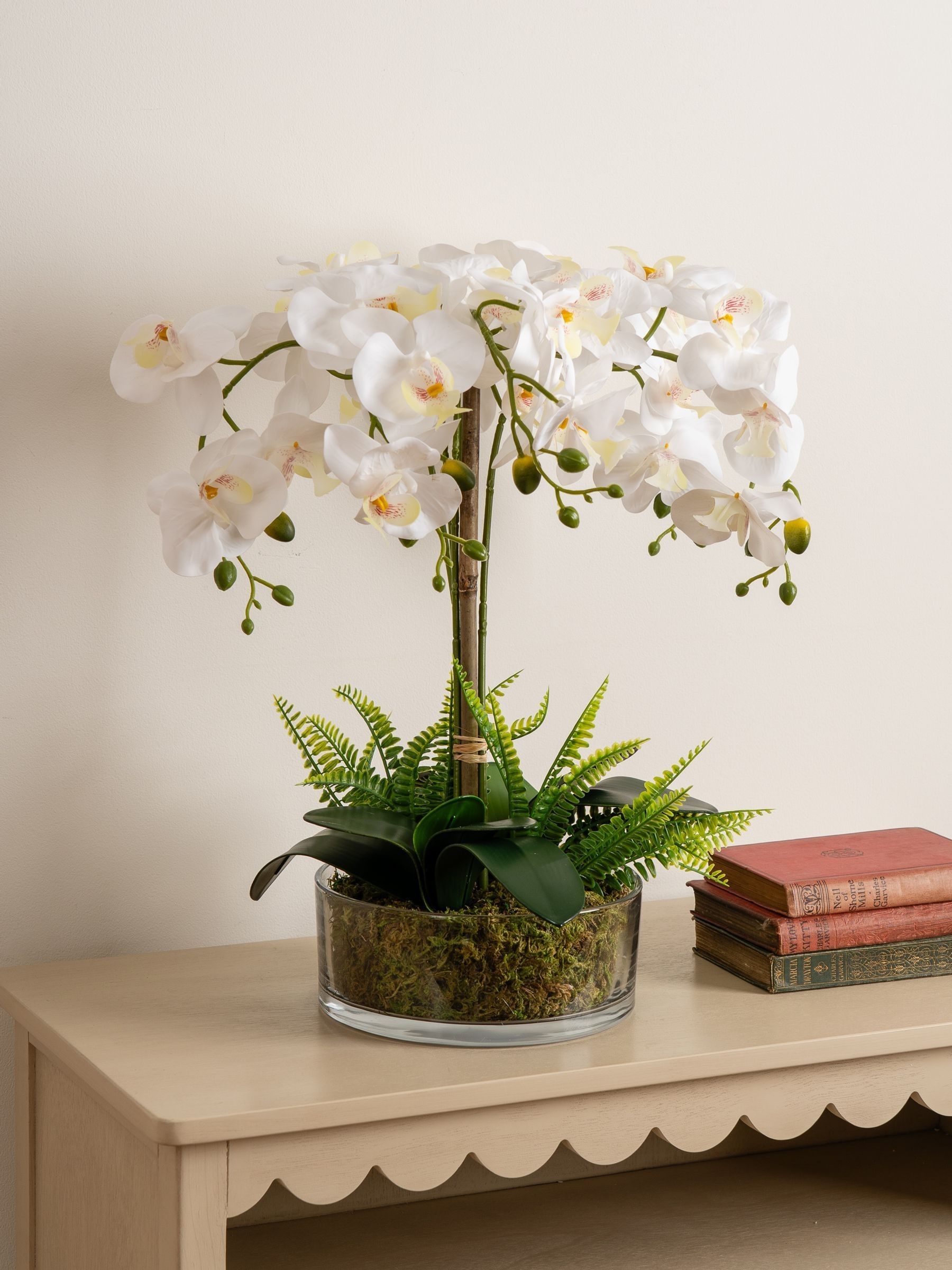 So'home 55Cm Real Touch 5-Stem Orchid With Fern In Glass Pot White - La Redoute - Image 4