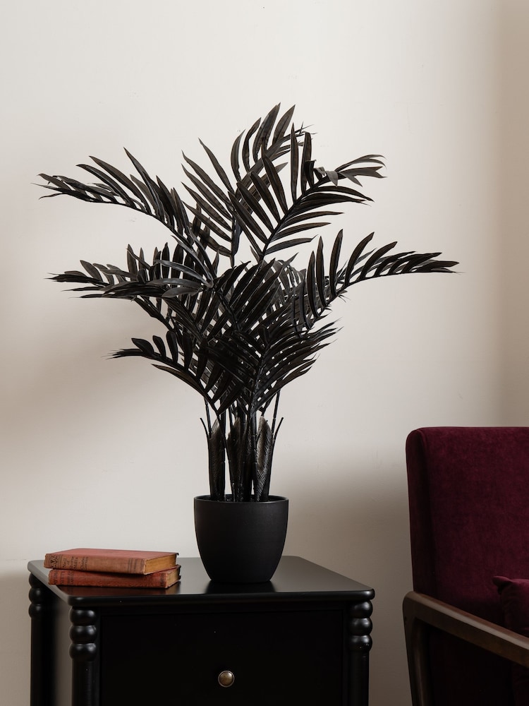Scottish Everlastings Ltd Black Real Touch Areca Palm Tree - Image 1 of 3 Scottish Everlastings Ltd Black Real Touch Areca Palm Tree - Image 1 of 3