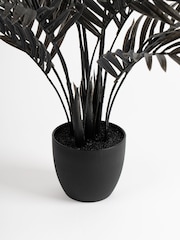 Scottish Everlastings Ltd Black Real Touch Areca Palm Tree - Image 3 of 3