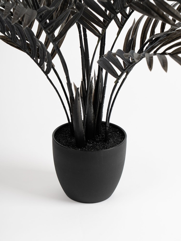 Scottish Everlastings Ltd Black Real Touch Areca Palm Tree - Image 3 of 3 Scottish Everlastings Ltd Black Real Touch Areca Palm Tree - Image 3 of 3
