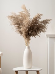 Scottish Everlastings Ltd Natural Pampas in Ribbed Ceramic Vase - Image 1 of 3