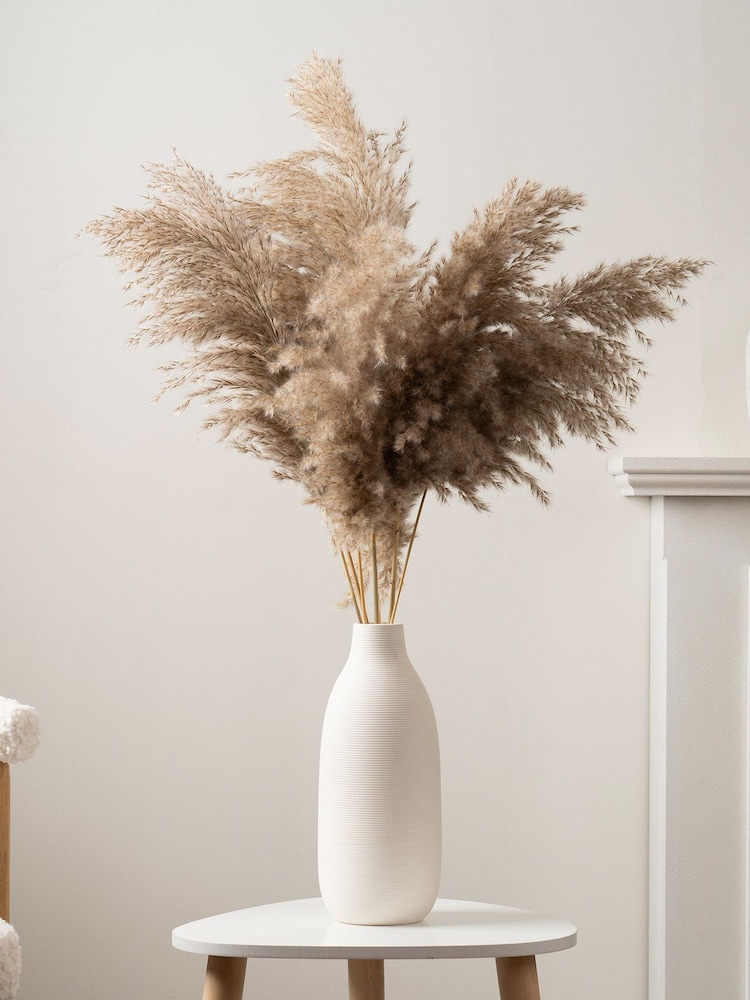 Scottish Everlastings Ltd Natural Pampas in Ribbed Ceramic Vase - Image 1 of 3