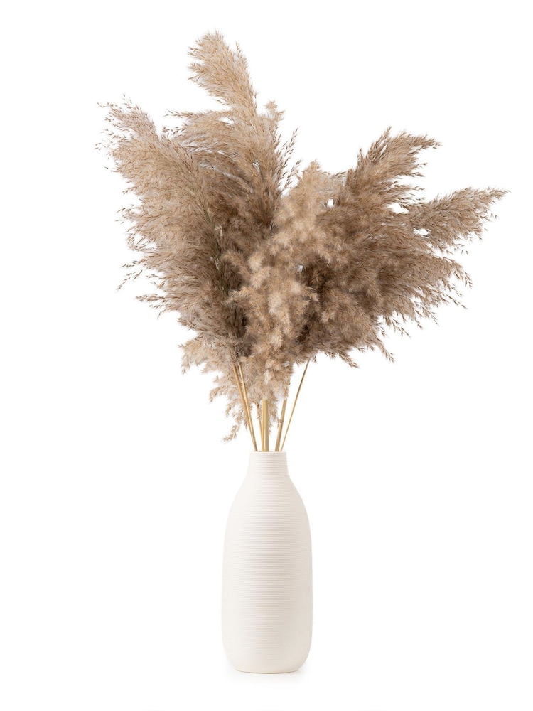 Scottish Everlastings Ltd Natural Pampas in Ribbed Ceramic Vase - Image 2 of 3