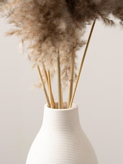 Scottish Everlastings Ltd Natural Pampas in Ribbed Ceramic Vase - Image 3 of 3