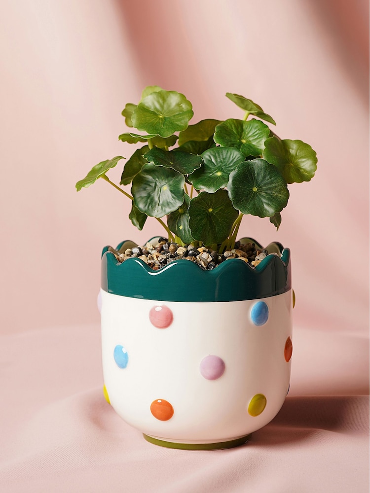 Widdop Multi Coloured Bobble Planter With Faux Plant - Image 1 of 4 Widdop Multi Coloured Bobble Planter With Faux Plant - Image 1 of 4