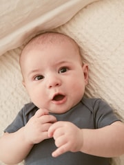 Petrol Blue 5 Pack Plain Baby Bodysuits - Image 3 of 13