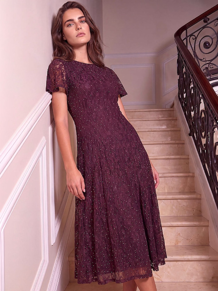 Roman Brown Petite Emb Lace Dress - Image 1 of 4