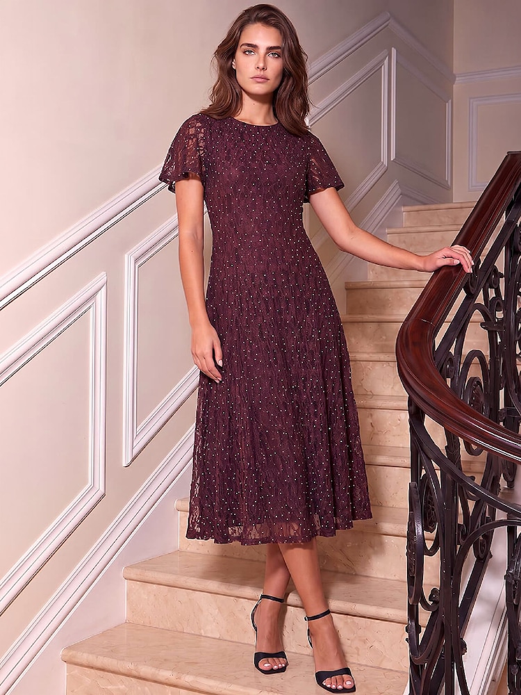 Roman Brown Petite Emb Lace Dress - Image 2 of 4