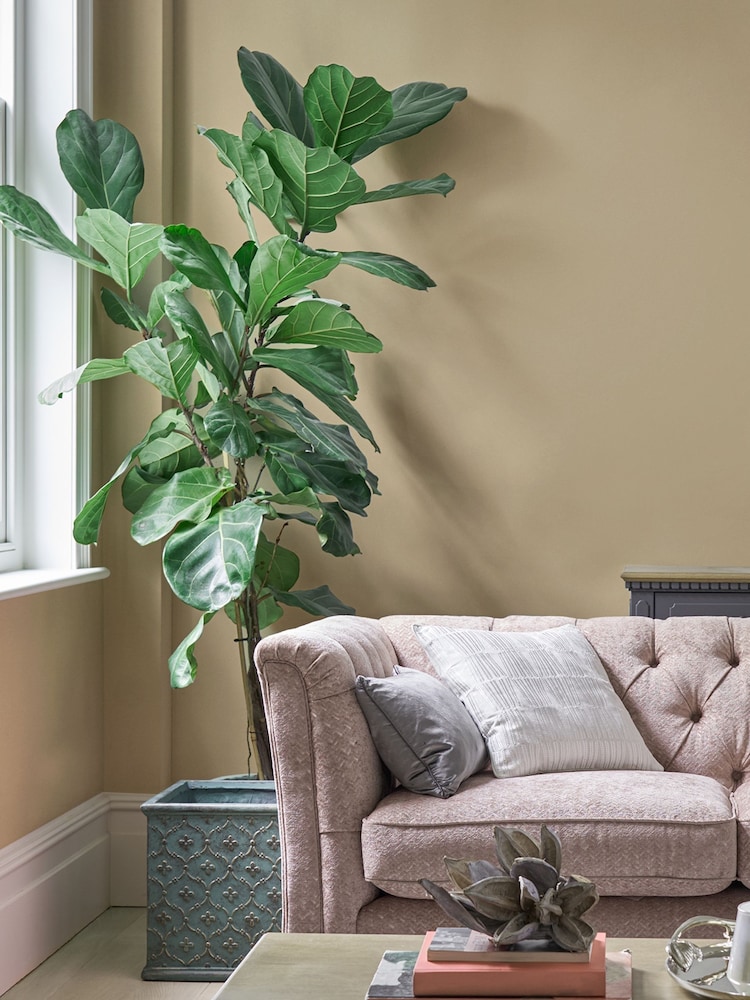 Laura Ashley Pale Gold Yellow Matt Emulsion 5LT Paint - Image 1 of 4 Laura Ashley Pale Gold Yellow Matt Emulsion 5LT Paint - Image 1 of 4