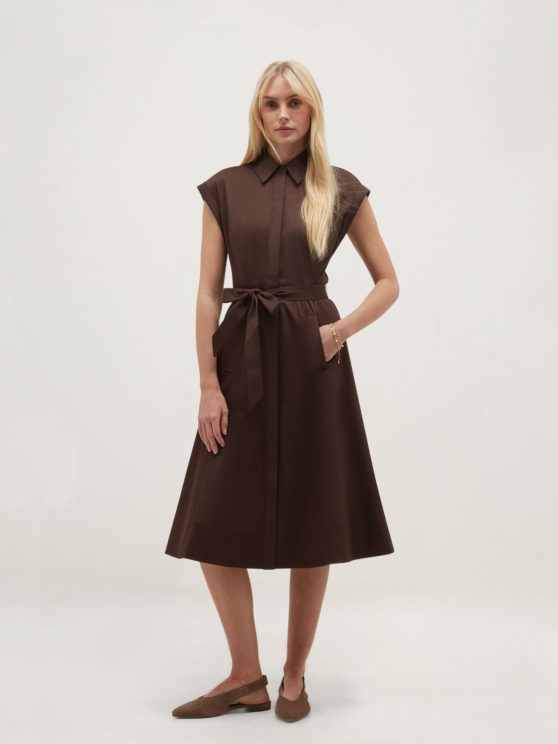 Hobbs Women's Brown Petite Kristen Dress