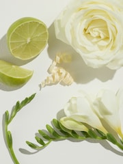 Cashmere 10ml Perfume - Image 6 of 6