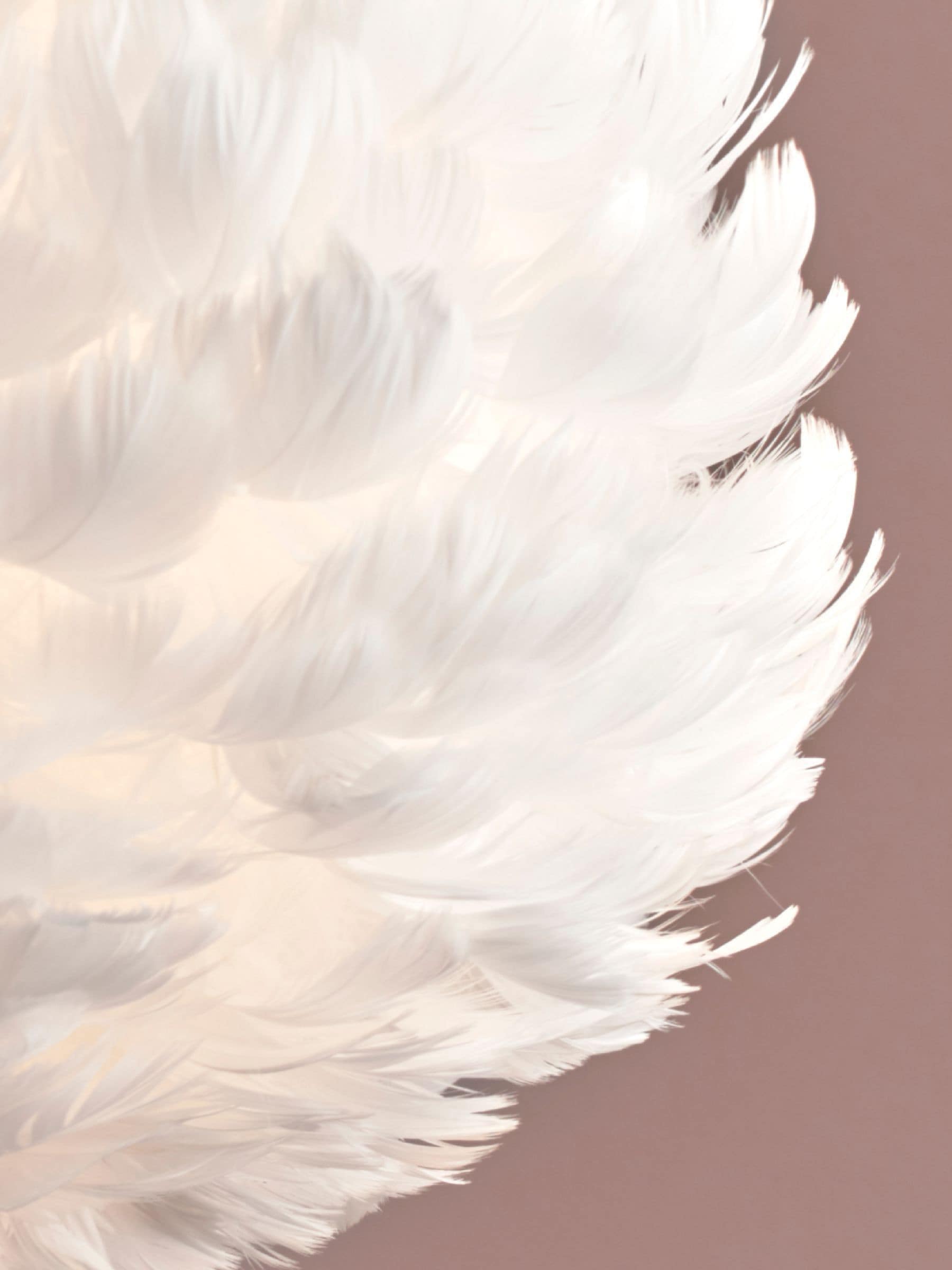 Lipsy feather shade hotsell