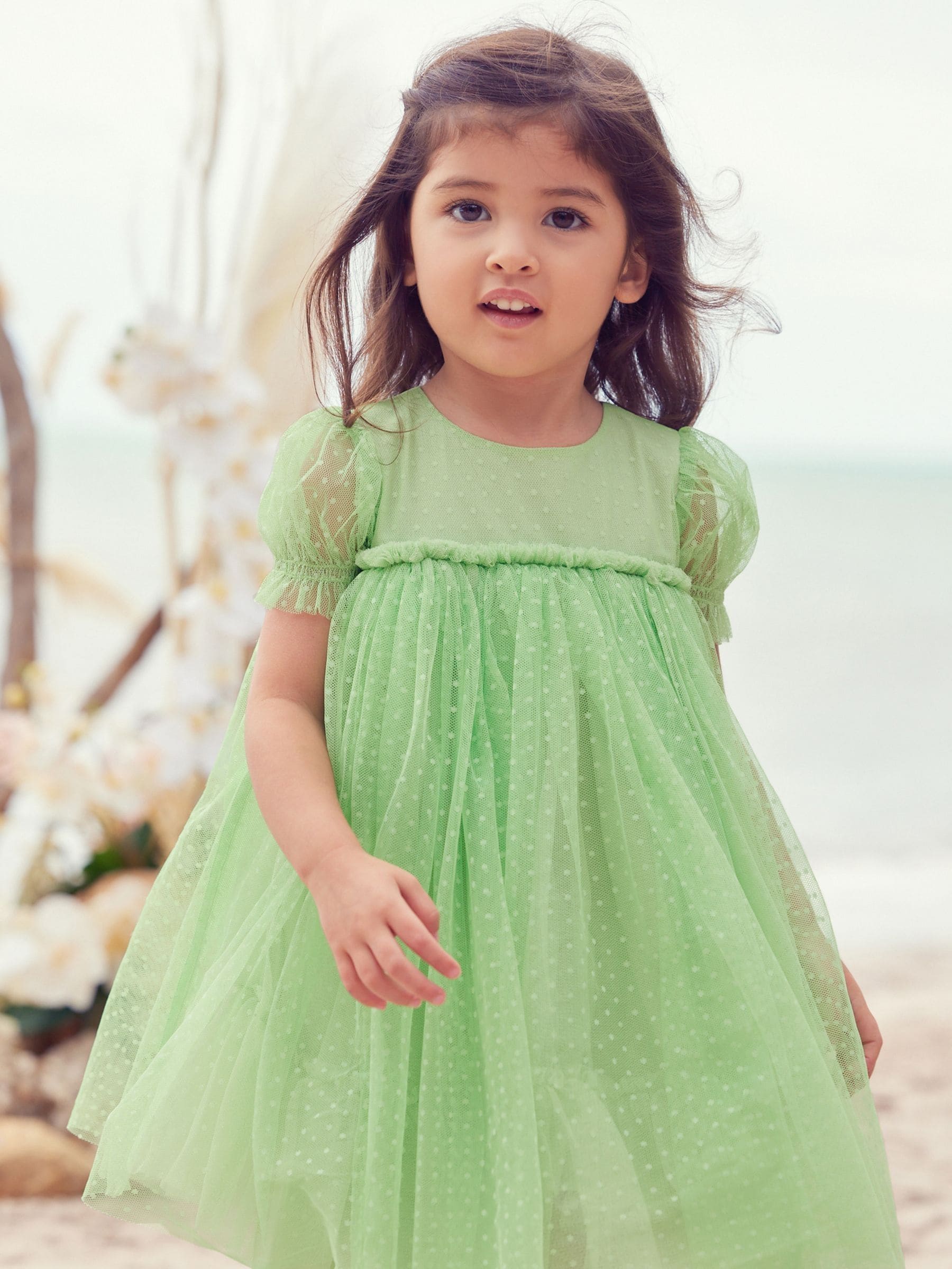 Buy Green Mesh Party Dress 3mths 7yrs from Next Luxembourg