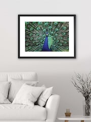 Brookpace Lascelles Blue Peacock Fan Artwork In Matt Black Frame - Image 1 of 3